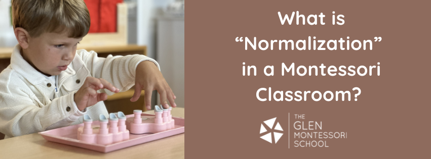 What is Normalization in a Montessori Classroom?