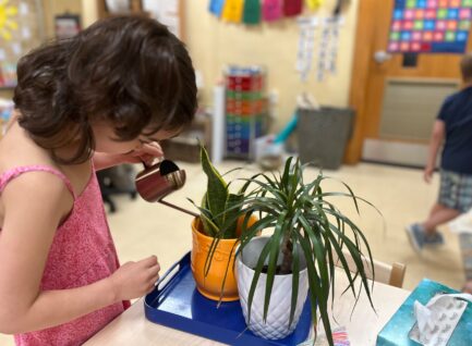 Household Chores for Children of Any Age